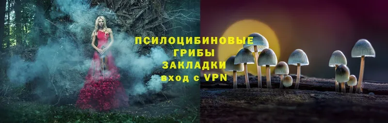 как найти закладки  Нефтеюганск  Галлюциногенные грибы прущие грибы 